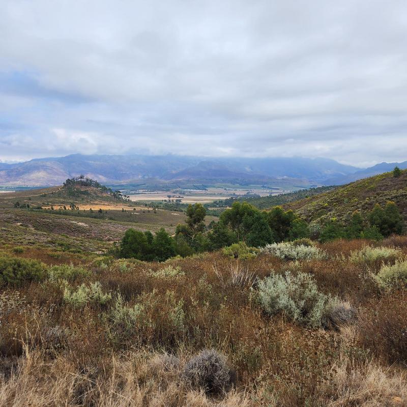 0 Bedroom Property for Sale in Wolseley Western Cape